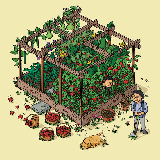 Tomato garden. part of the Stories of Summer Clothing collection.